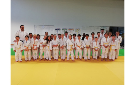 ANIMATIONS POUSSINS ET MINI-POUSSINS